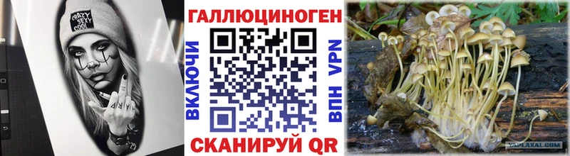 Псилоцибиновые грибы прущие грибы  кракен сайт  Мыски 